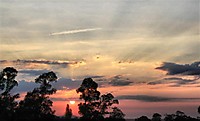 IMG_0444_Large_fhdr.jpg