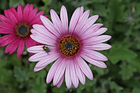 IMG_0483_Desktop_Resolution_.JPG