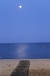 IMG_04903.jpg