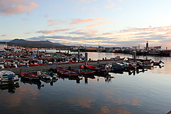 IMG_06232.JPG