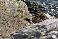 IMG_06413.jpg
