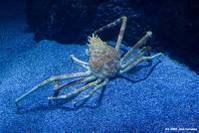IMG_0825web_Medium_Medium_.jpg