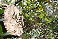 IMG_129221.jpg