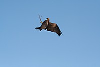 IMG_13251.JPG