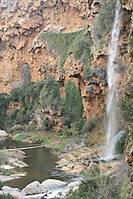 IMG_13461.JPG