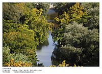 IMG_1551_1.jpg