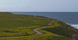 IMG_15863.jpg