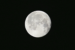 IMG_16452.JPG