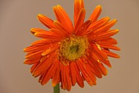 IMG_19413.JPG