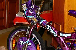 IMG_2020_1200x800.jpg