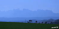 IMG_2112_1_1.jpg