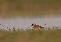 IMG_27751.jpg