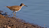 IMG_29151.jpg
