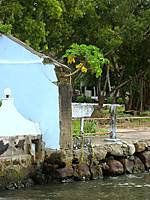 IMG_3100.JPG