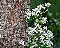 IMG_31961.JPG