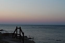 IMG_3495_comp.jpg