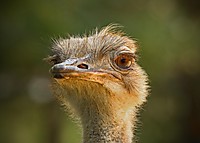 IMG_35792.jpg