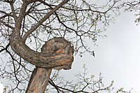 IMG_3627_Large_.JPG