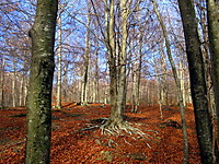 IMG_38811.jpg