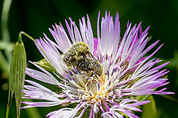 IMG_39202.jpg