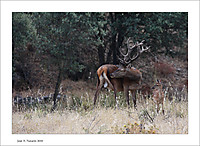 IMG_4112_copia-copia.jpg