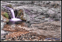 IMG_4113_tonemapped_watermark.JPG