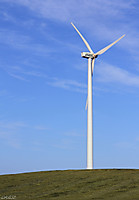 IMG_46762.jpg