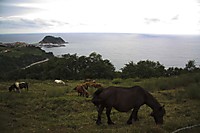 IMG_4891_copia.jpg