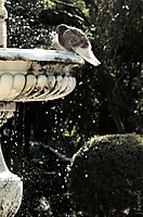 IMG_4950_copia.jpg