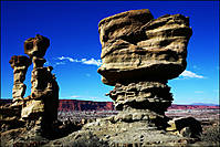 IMG_5029-c.jpg
