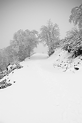 IMG_5279_2.jpg