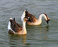 IMG_5845.JPG