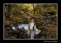 IMG_58781.jpg