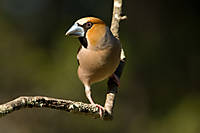 IMG_59551.jpg