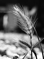 IMG_6197.jpg