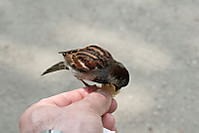 IMG_62601.jpg