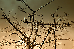 IMG_64451.jpg