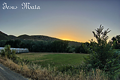 IMG_65404.jpg