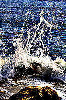 IMG_67981.jpg