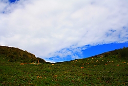 IMG_7115--.jpg