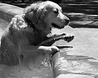 IMG_7160bn_W.jpg