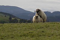 IMG_7680_copia_copia.jpg