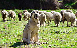 IMG_77551.jpg