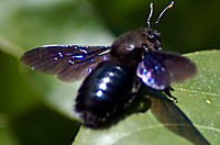 IMG_8005.jpg