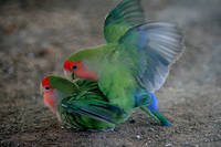 IMG_85281.jpg