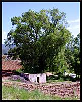 IMG_8541.JPG