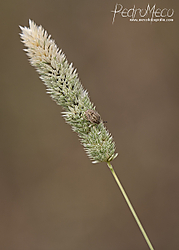 IMG_9843.jpg