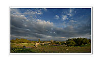 IMG_9877.jpg