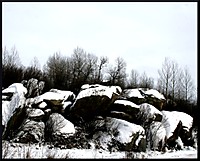 IMG_9912.JPG