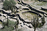 Imagen-509.jpg